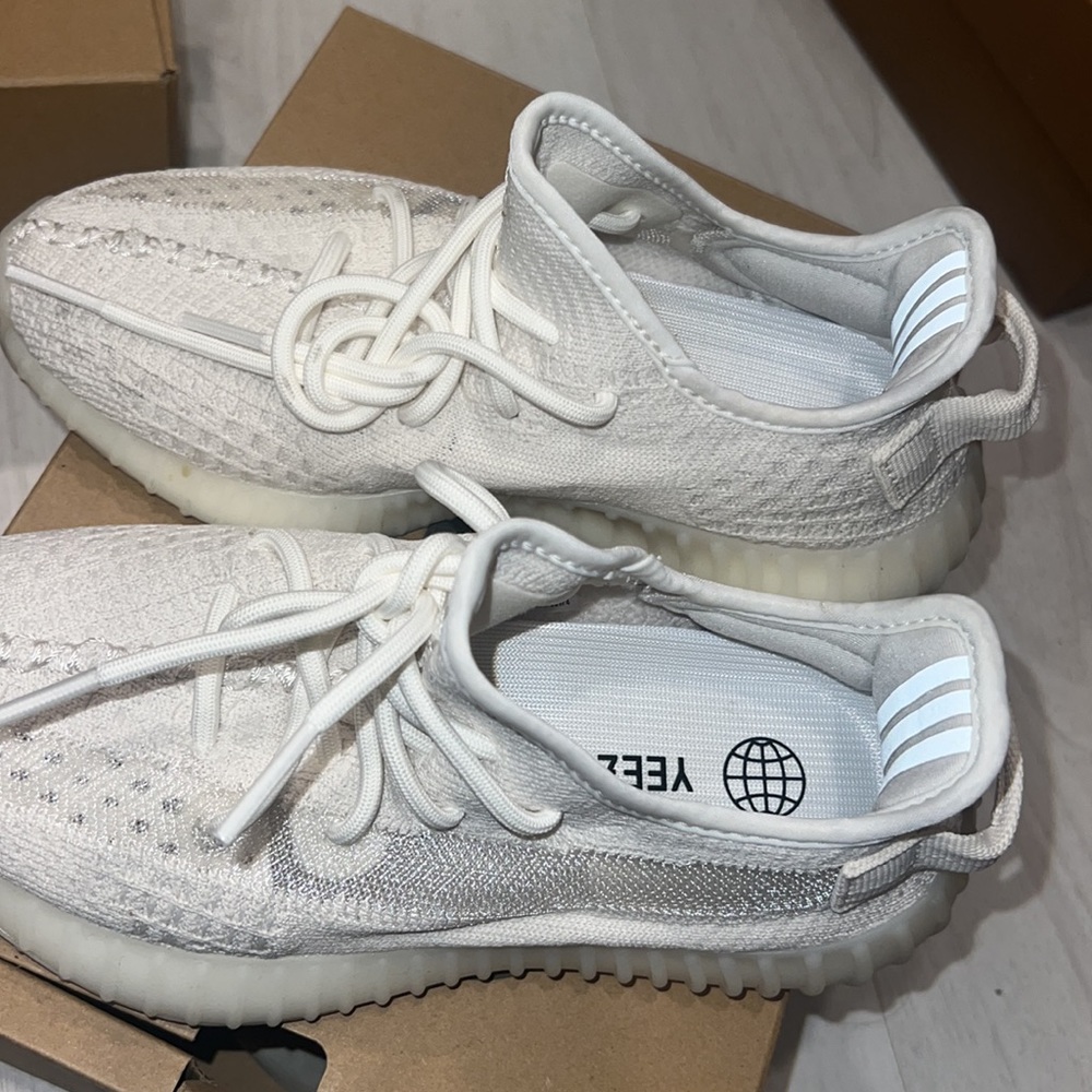 Yeezyz - Picture 5 of 7